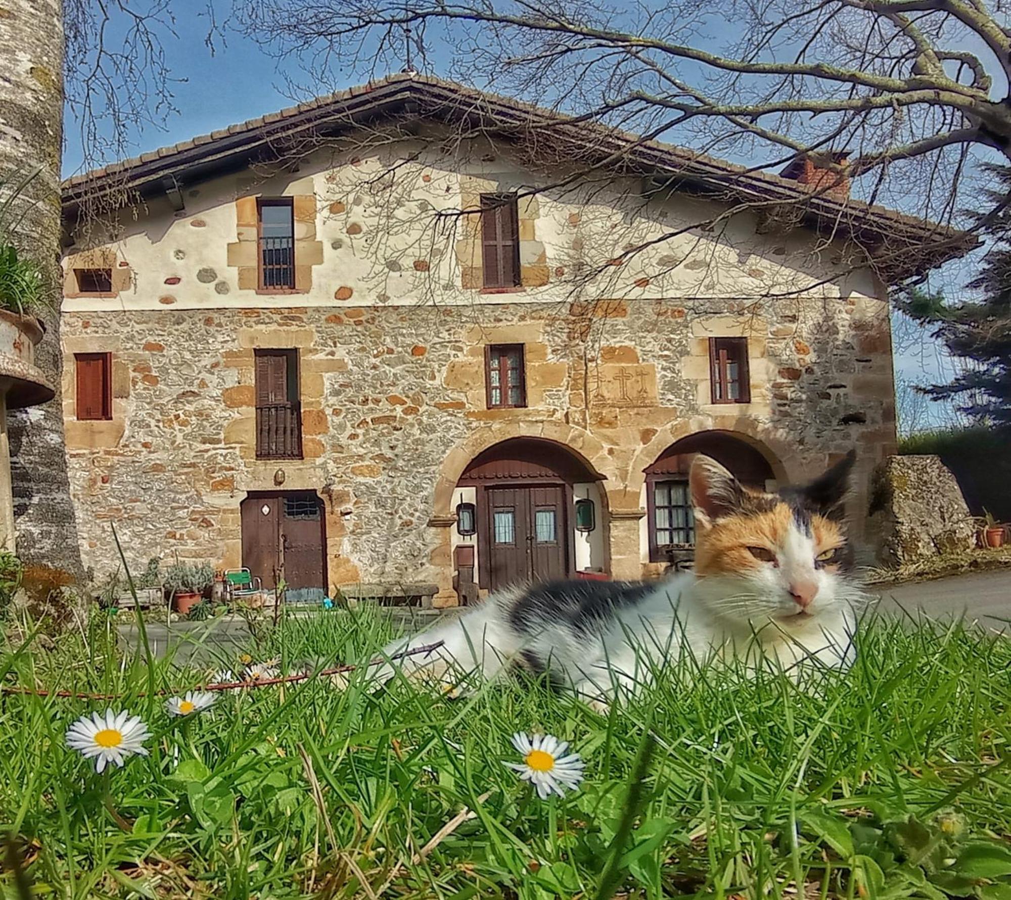 Гостевой дом Casa Rural Areano Эскориаса Экстерьер фото