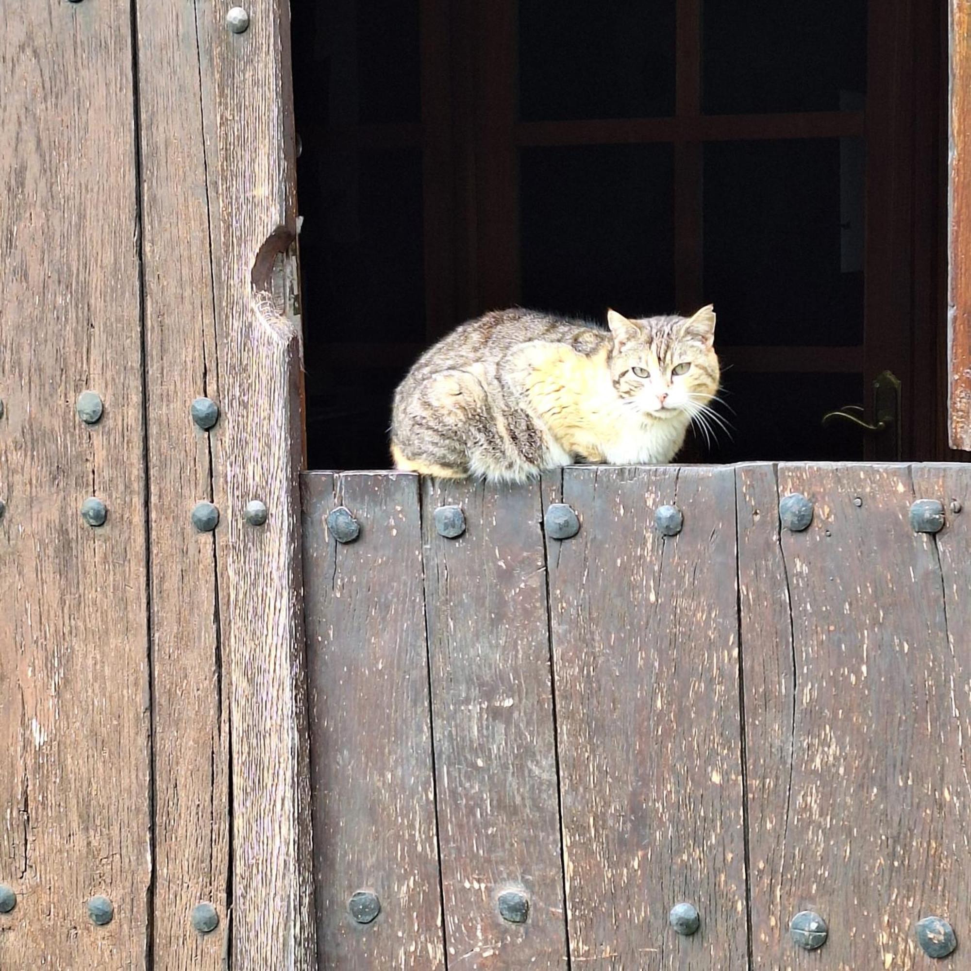 Casa Rural Areano Эскориаса Экстерьер фото